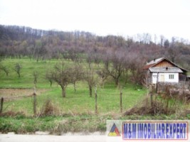 teren-intraextravilan-1200-mp-in-balilesti-arges