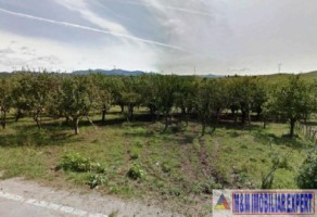 teren-extravilan-de-2500-mp-in-valea-mare-pravat-arges