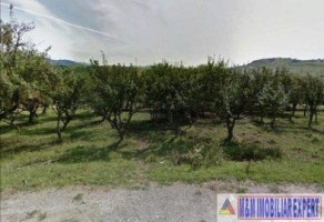 teren-extravilan-de-2500-mp-in-valea-mare-pravat-arges-1