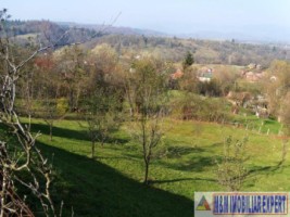 teren-intravilan-800-mp-de-vanzare-in-bughea-de-jos-arges-4