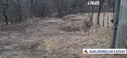 teren-intravilan-800-mp-de-vanzare-in-bughea-de-jos-arges-6