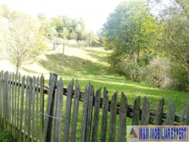 teren-intraextravilan-7500-mp-v-romanestilor-campulung-ag-1