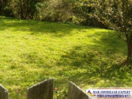 teren-intraextravilan-7500-mp-v-romanestilor-campulung-ag-2
