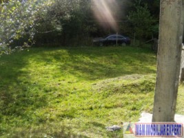 teren-intraextravilan-7500-mp-v-romanestilor-campulung-ag-3