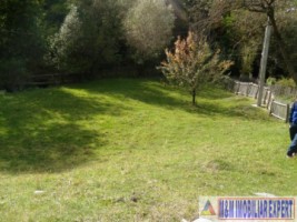 teren-intraextravilan-7500-mp-v-romanestilor-campulung-ag-6