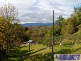 teren-intraextravilan-7500-mp-v-romanestilor-campulung-ag-13