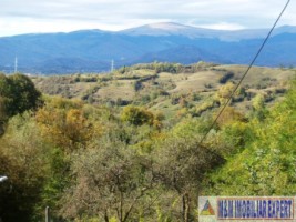 teren-intraextravilan-7500-mp-v-romanestilor-campulung-ag-14