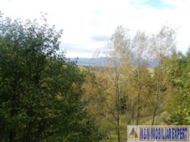 teren-intraextravilan-7500-mp-v-romanestilor-campulung-ag-15