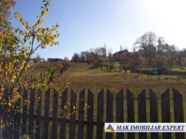 teren-intravilan-8000-mp-in-calea-pietroasa-campulung-arges