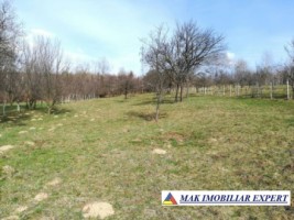 teren-intravilan-3400-mp-de-vanzare-in-voinesti-leresti-arges-2