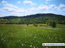 teren-52-ha-de-vanzare-intravilan-in-musatesti-arges-1