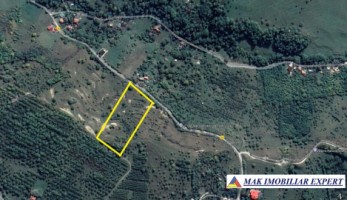 teren-11-ha-intra-extravilan-in-cretisoara-campulung-arges-3