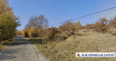 teren-11-ha-intra-extravilan-in-cretisoara-campulung-arges-1