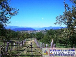 teren-27-ha-extravilan-in-v-romanestilor-campulung-arges