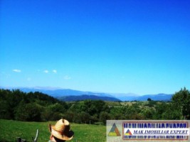 teren-27-ha-extravilan-in-v-romanestilor-campulung-arges-2