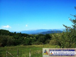 teren-27-ha-extravilan-in-v-romanestilor-campulung-arges-3