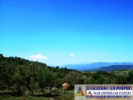 teren-27-ha-extravilan-in-v-romanestilor-campulung-arges-4