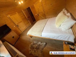 vand-cabana-6-camere-5-bai-teren-1678-mp-in-rucar-arges-2