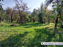 vand-teren-3700-mp-intravilan-in-corbi-arges-2