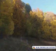 vand-teren-108-ha-extravilan-si-padure-in-bradulet-arges-1