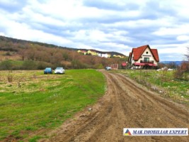 vand-teren-2071-mpn-extravilan-in-tauti-foresti-cluj-1