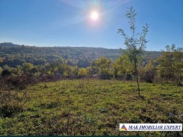 vand-teren-8045-mp-extravilan-in-albestii-de-muscel-arges
