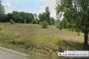 vand-teren-2-ha-extravilan-in-selari-valea-mare-pravat-arges-1