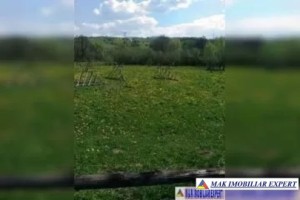 vand-teren-2-ha-extravilan-in-selari-valea-mare-pravat-arges-2