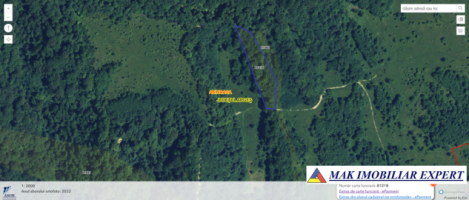 teren-5000-mp-extravilan-in-pct-valea-mare-aninoasa-arges
