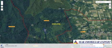teren-5000-mp-extravilan-in-pct-valea-mare-aninoasa-arges-1
