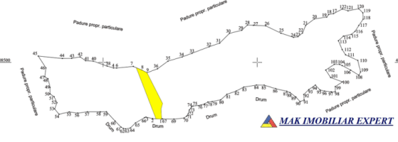 teren-5000-mp-extravilan-in-pct-valea-mare-aninoasa-arges-4