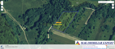 vand-teren-4593-mp-extravilan-in-suhat-aninoasa-arges-1