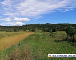 vand-teren-5000-mp-intravilan-in-mihaesti-arges