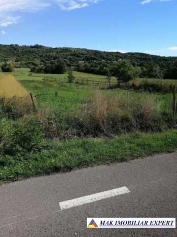 vand-teren-5000-mp-intravilan-in-mihaesti-arges-2