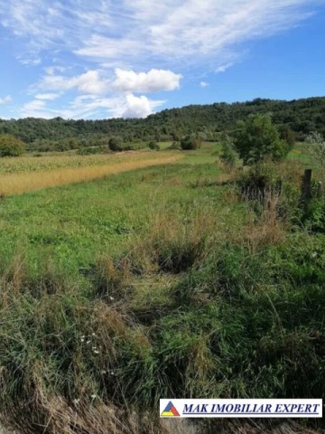 vand-teren-5000-mp-intravilan-in-mihaesti-arges-1