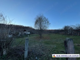 teren1600-mp-intravilan-in-v-bradului-mihaesti-arges
