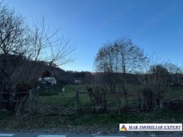 teren1600-mp-intravilan-in-v-bradului-mihaesti-arges-4