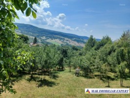 teren-241-ha-intra-extravilan-in-draghici-mihaesti-arges-1