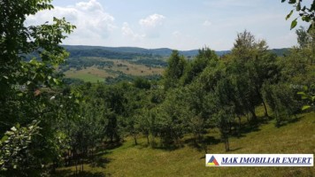 teren-241-ha-intra-extravilan-in-draghici-mihaesti-arges-3