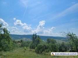 teren-241-ha-intra-extravilan-in-draghici-mihaesti-arges-5