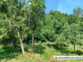 teren-241-ha-intra-extravilan-in-draghici-mihaesti-arges-4