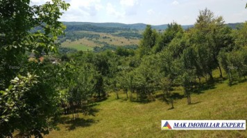 teren-241-ha-intra-extravilan-in-draghici-mihaesti-arges-2