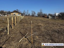 vand-teren-intravilan-2350-mp-in-galesu-bradulet-arges-5