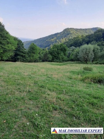 vand-teren-2-ha-extravilan-in-bradulet-arges-1