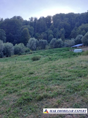 vand-teren-2-ha-extravilan-in-bradulet-arges