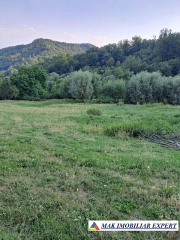vand-teren-2-ha-extravilan-in-bradulet-arges-3
