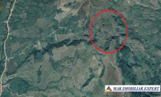 vand-teren-193-ha-extravilan-in-suslanesti-mioarele-arges-1