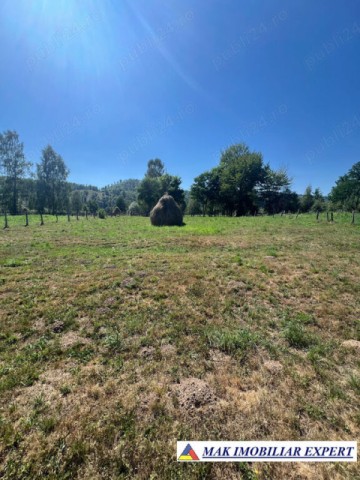 teren-6354-mp-extrav-in-candesti-albestii-de-muscel-arges