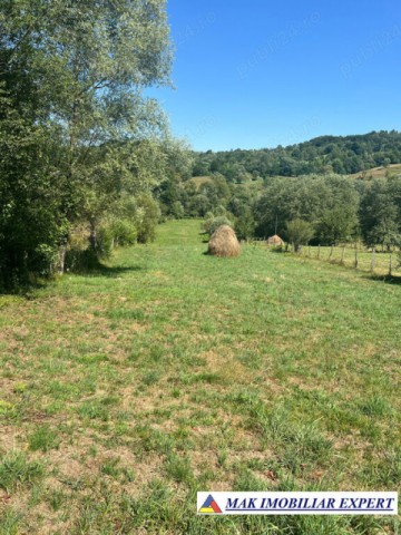 teren-6354-mp-extrav-in-candesti-albestii-de-muscel-arges-1