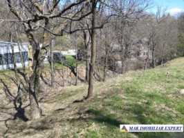 teren-5730-mp-intravilan-in-centru-campulung-arges-11